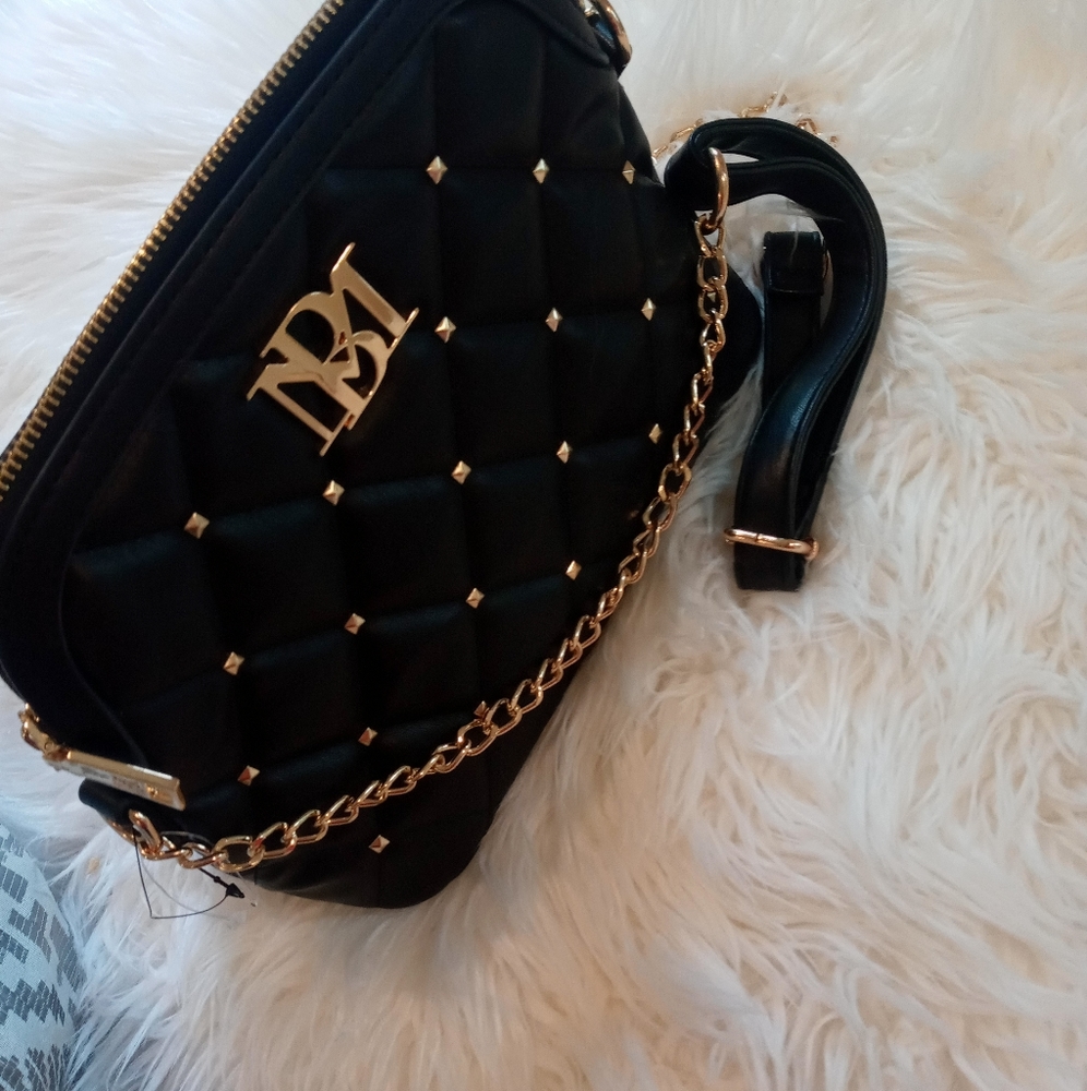 badgley mischka bag
